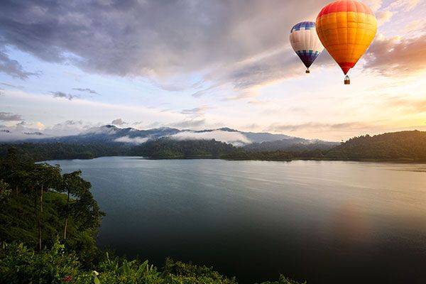 Lavadero Low Cost Canovelles desinfección con certificado